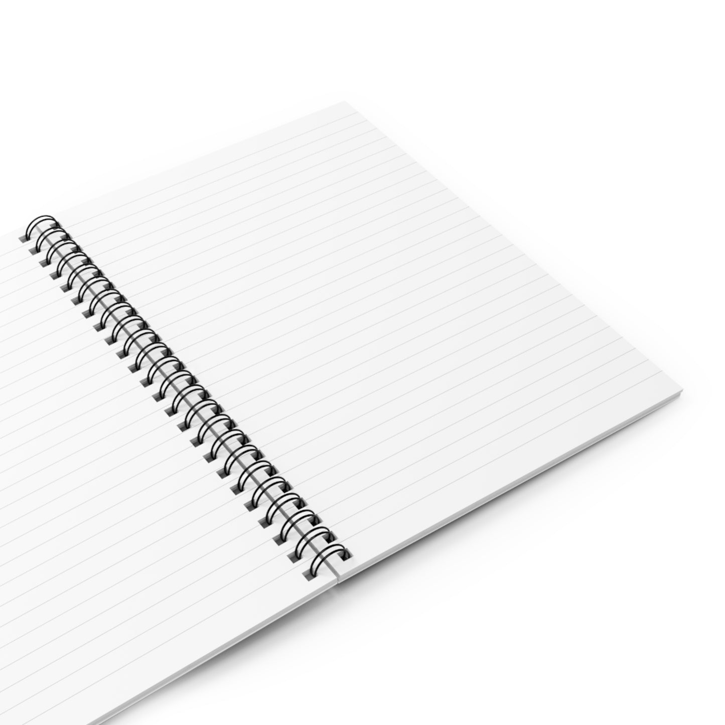 Writing the Vision Journal – Firm, Focused & Favored
